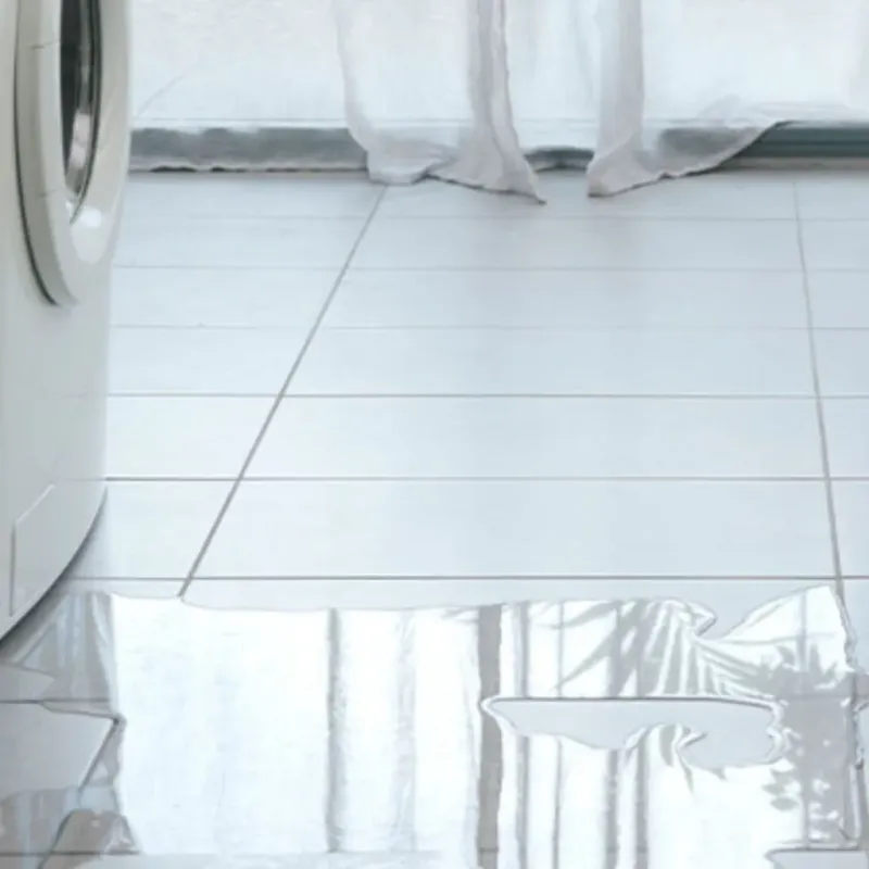 Appliance Leak Cleanup in Lisle, IL